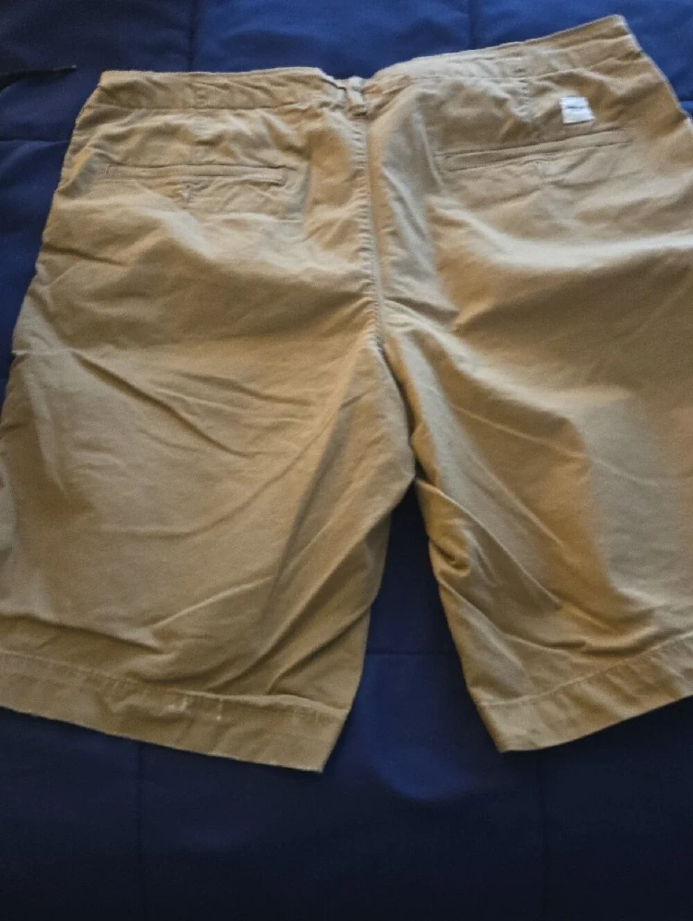 American Eagle Outfitters Tan Flat-Front Cotton Shorts